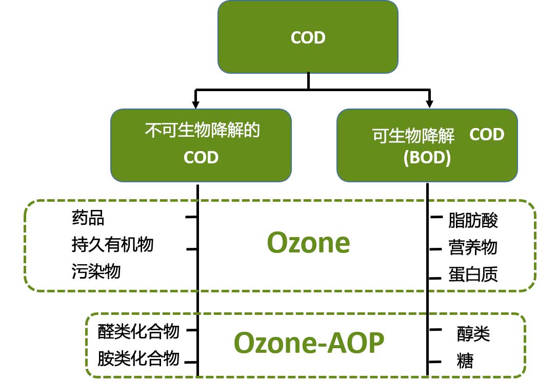 COD和BOD工業(yè)用水臭氧處理 