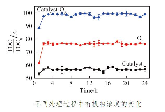 催化臭氧化反應(yīng)器