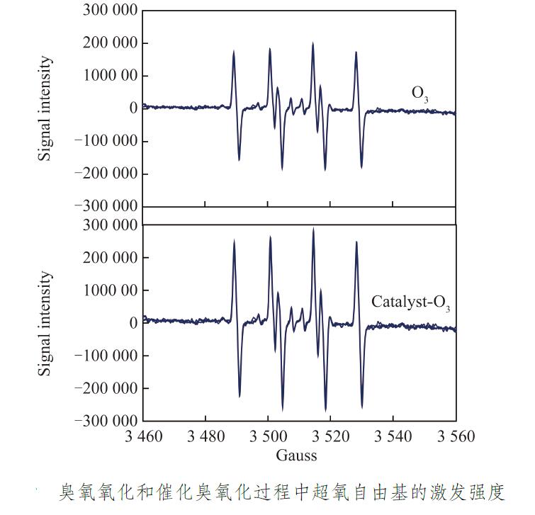 催化臭氧化反應(yīng)器